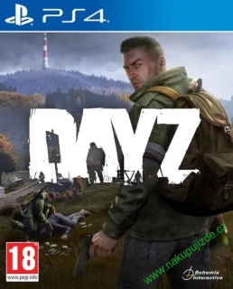 DayZ (PS4) - FR