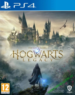 Hogwarts Legacy (PS4)